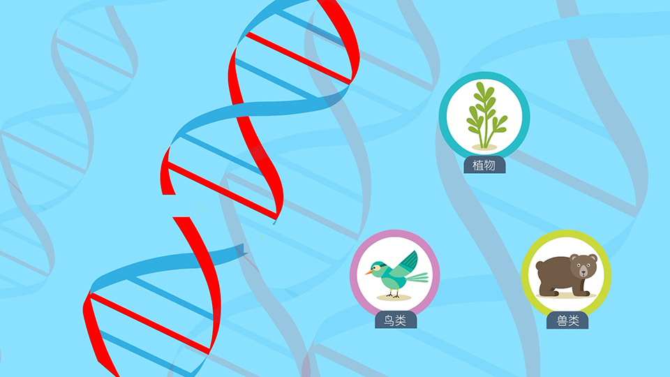 基因方舟 系列二维动画微课之《基因危机》